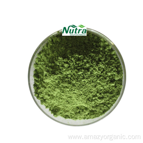 Vegetable Powder Organic Barley Grass Extract Powder